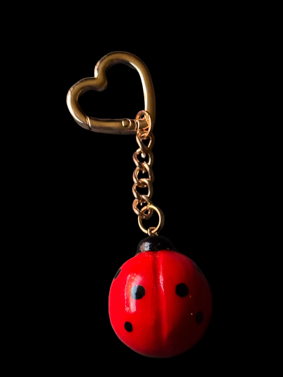 Ladybug Charm