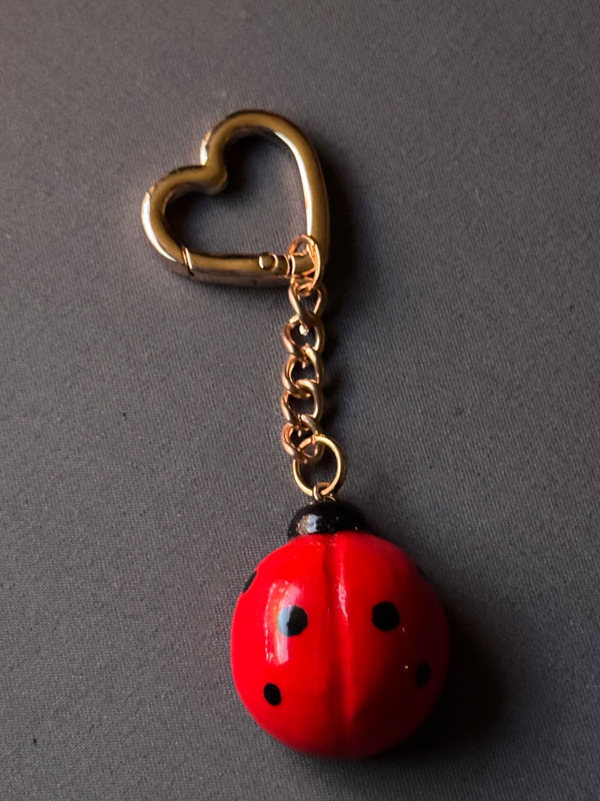 Ladybug Charm